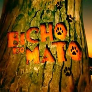 Novela “Bicho do Mato”: resumo dos próximos capítulos