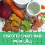 biscoitos-para-caes-300×250