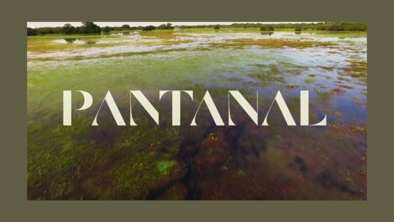 Novela “Pantanal” 2022: As duas fases da trama